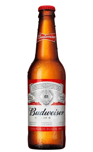 Budweiser Beer BottlE 33Cl